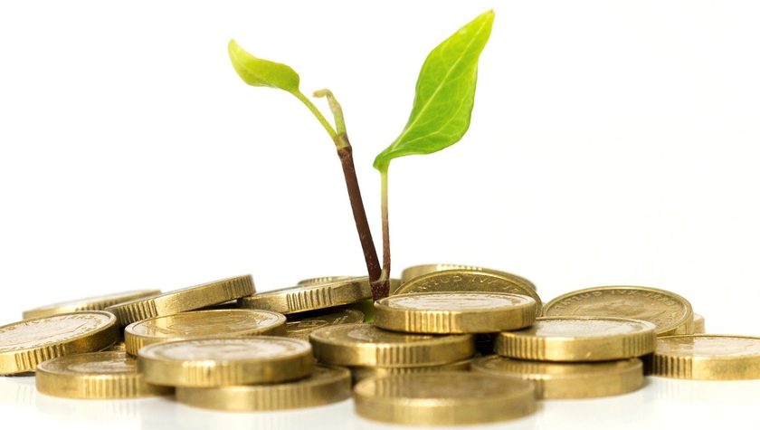 gold coins with a growing plant
